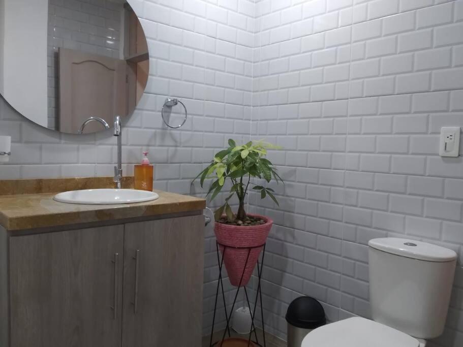 Heliconia Wagneriana Apartment - Flor De La Perla サンタ・マルタ エクステリア 写真